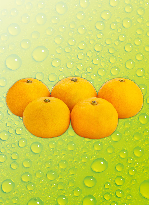 Produktbild »Satsumas 2 kg«