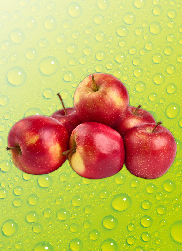 Produktbild »Bio-Äpfel«
