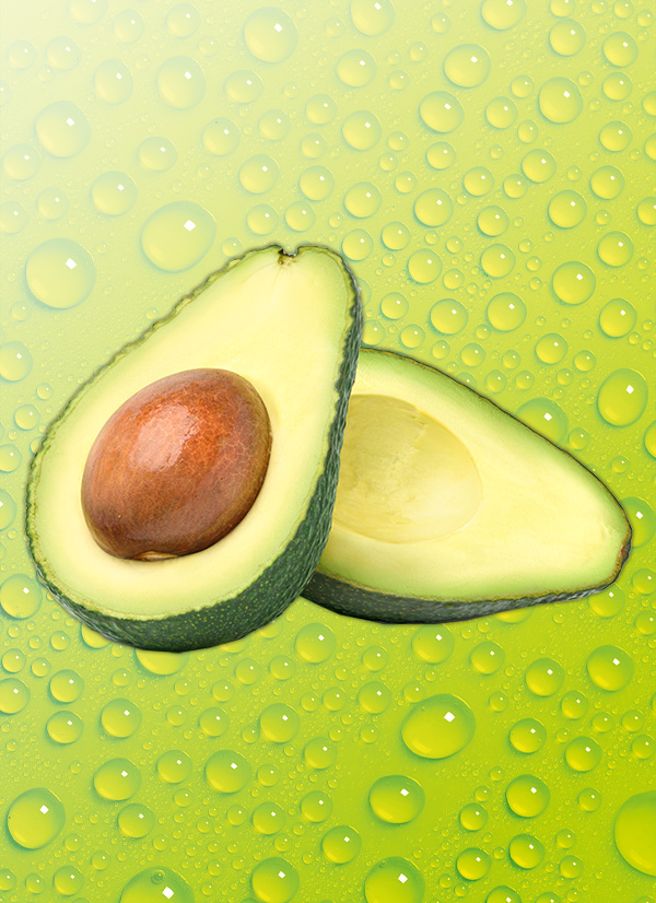 Produktbild »Avocado«