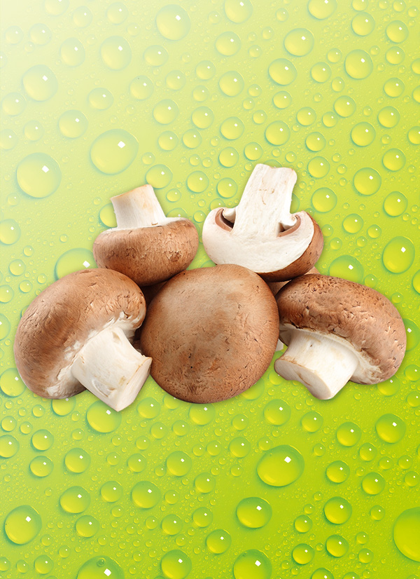 Produktbild »Champignons«