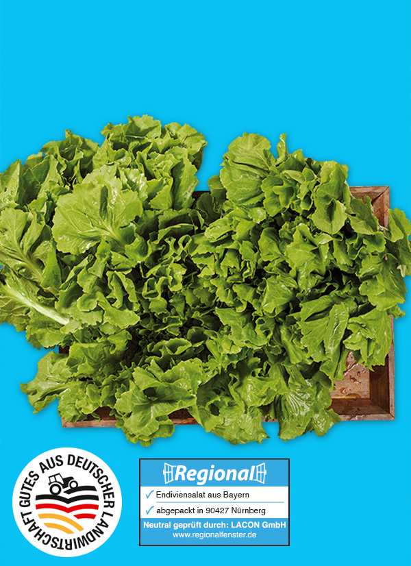Produktbild »Bayerische Endiviensalat«